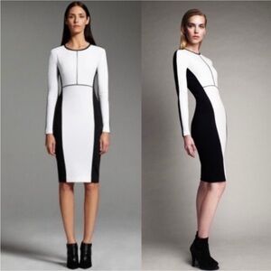 Narciso Rodriguez Women’s L B&W Chic Color Block LS Back Zip Sheath Dress in EUC